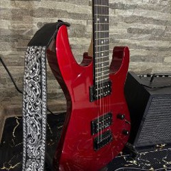 Медиатор - фото 2