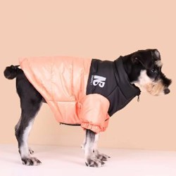 Джиббитсы - фото 5