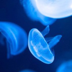 Fujifilm XT-5 - фото 3