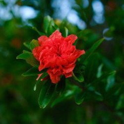 Fujifilm XT-5 - фото 5