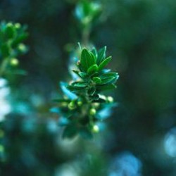 Fujifilm XT-5 - фото 6