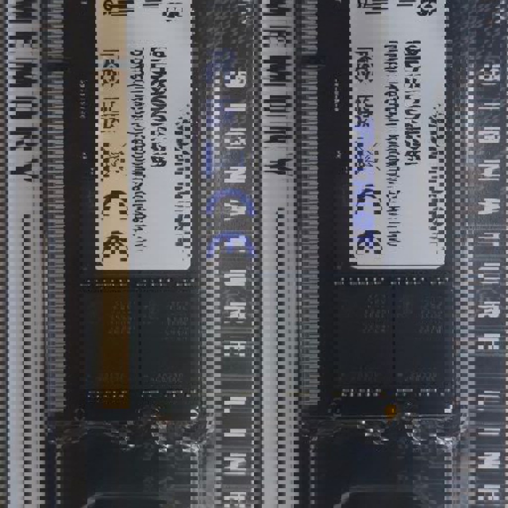 Patriot Signature Line PSD516G560081S