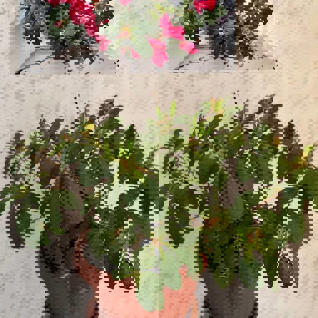 Безопасная гирлянда