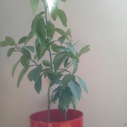 Самокат детский - фото 2