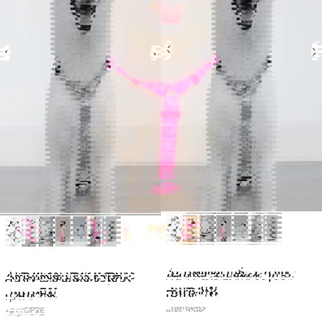 Шлейка для собак