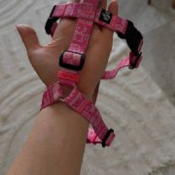 Шлейка для собак - фото 3