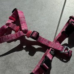 Шлейка для собак - фото 4