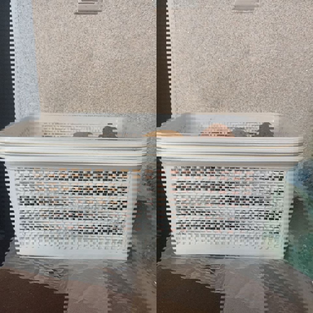 Пластиковая корзина