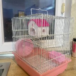 Клетка - фото 2