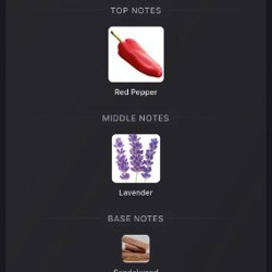 Boss the Scent - фото 2