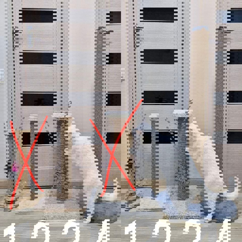 Кормушка для птиц на присосках