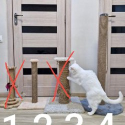 Кормушка для птиц на присосках - фото 1