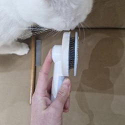 Кормушка для птиц на присосках - фото 5