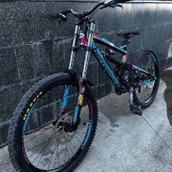 Даунхильный велосипед Bergamont Straitline 7.0 - фото 2