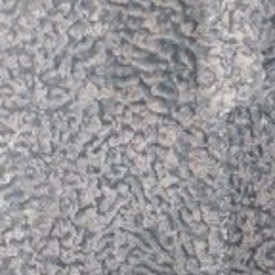 Шуба из каракуля - фото 3