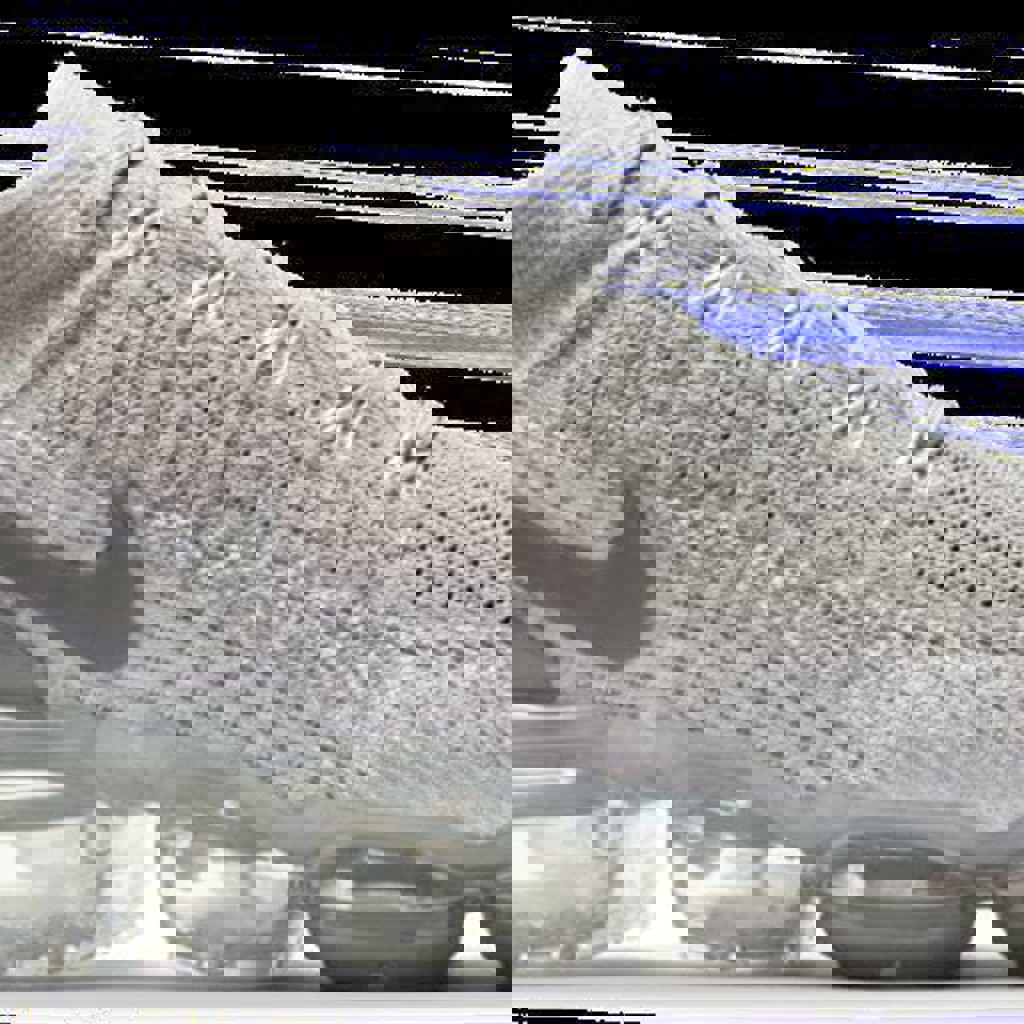 NIKE AIR VAPORMAX 2 LIZARD