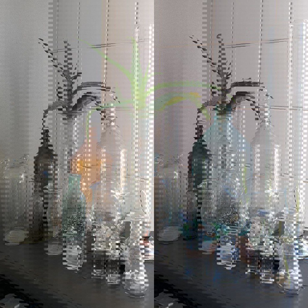 Набор бутылочек и колбочек