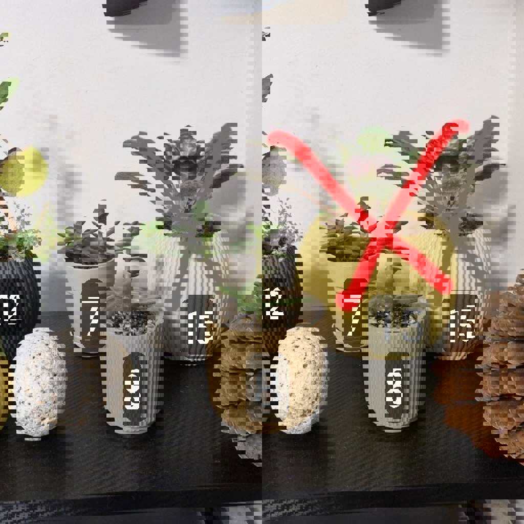 Цветы в горшках