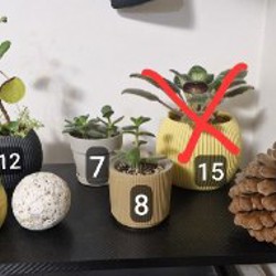 Цветы в горшках - фото 1