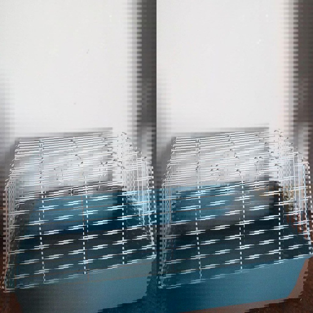 Клетка для животных