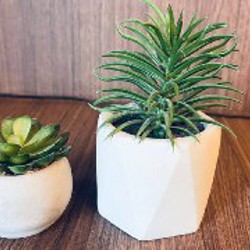 Укулеле концерт - фото 2