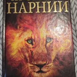 Недопесок - фото 8