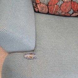 Диван - фото 2