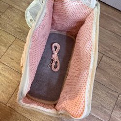 Сумка для маленьких собак - фото 3