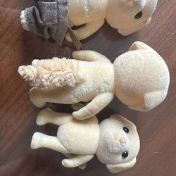 Лабрадоры - фото 2