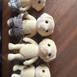 Лабрадоры - фото 3