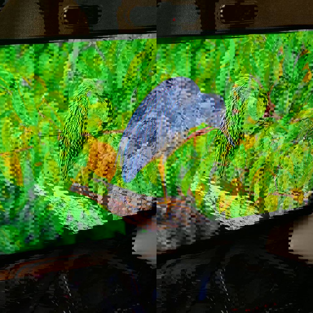 Игровой монитор LG ULTRAGEAR 27GS85Q