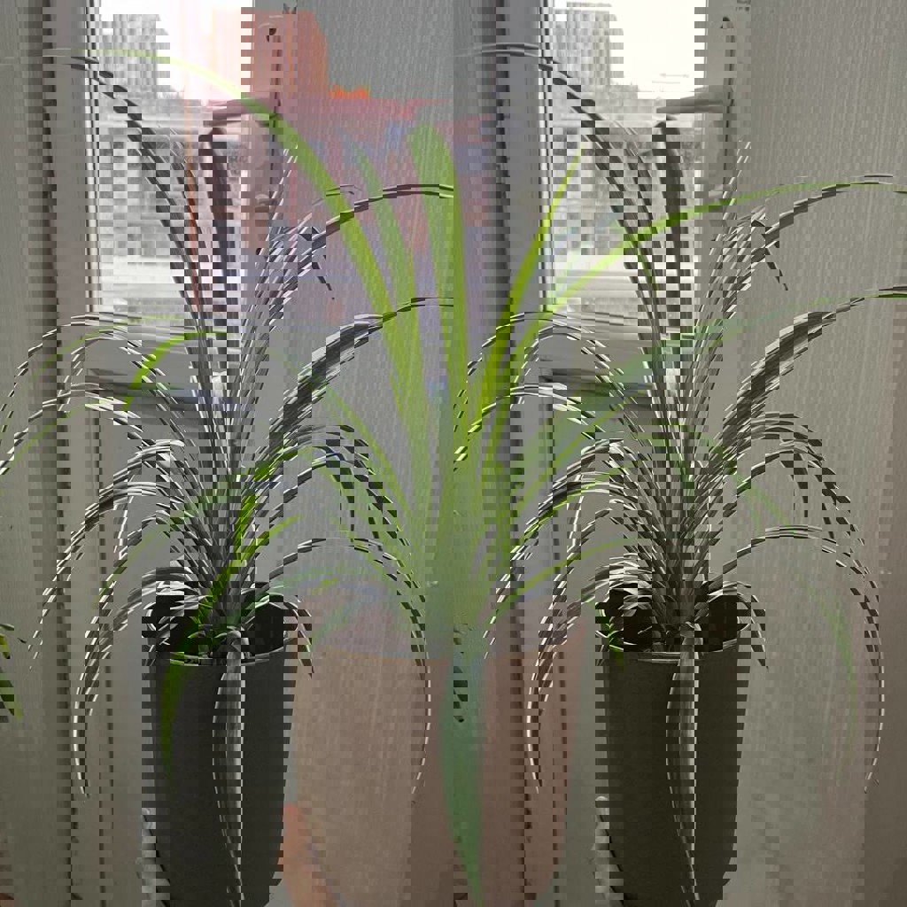 Электрическая кофеварка минутка