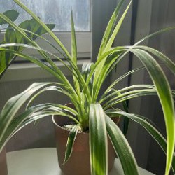 Электрическая кофеварка минутка - фото 2