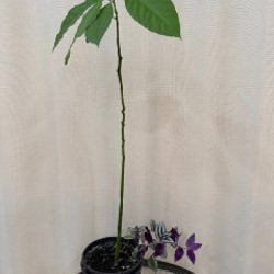 Шарики на елку - фото 4