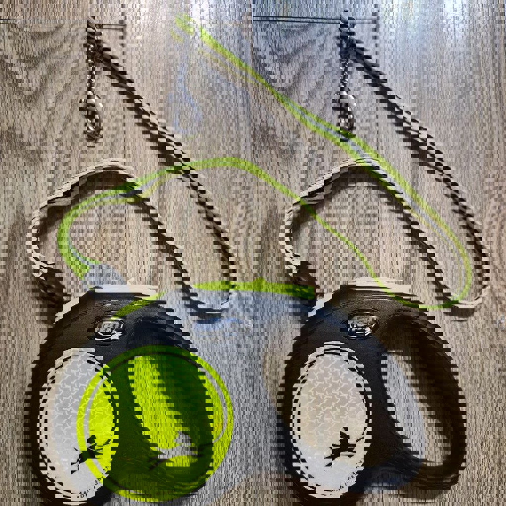 Ошейник и поводок