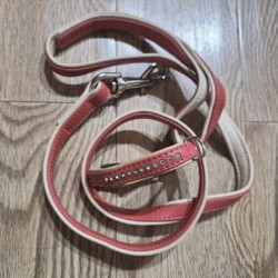 Ошейник и поводок - фото 2