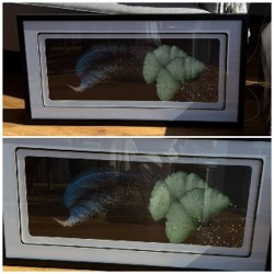 Картон - фото 5