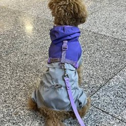 Компактная поилка - фото 3