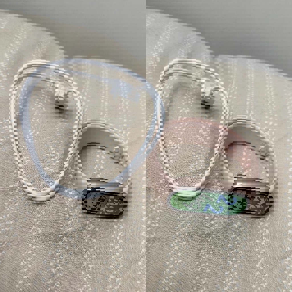 Xiaomi Smart Band 10