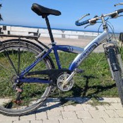 Велосипед Pegasus Power S - фото 4