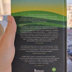 Жареные зелёные помидоры в кафе “Полустанок” - фото 2