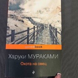 Крылья - фото 2