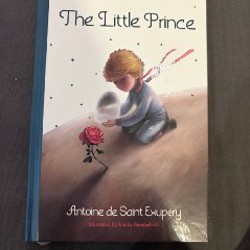 Крылья - фото 4