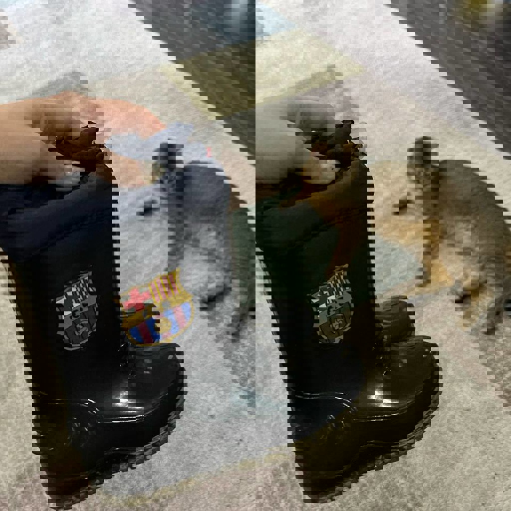 Утепленные резиновые сапоги, Барселона