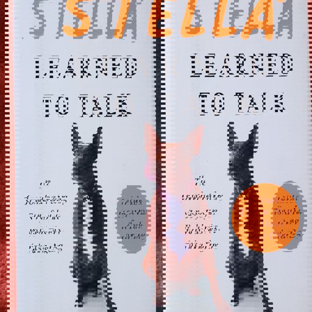 How Stella Learned to Talk