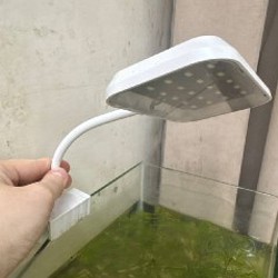 Аквариум с рыбками гуппы - фото 3