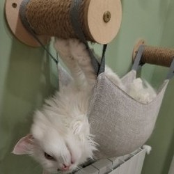 Когтеточка настенная с гамака для кошки - фото 3