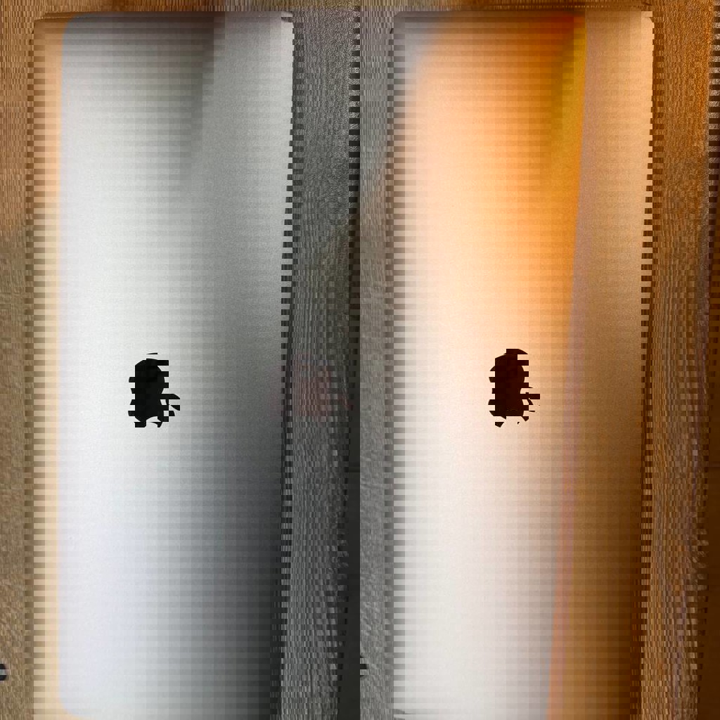 MacBook Pro 2020 (M1)