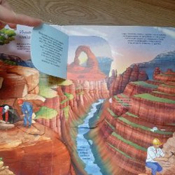 Книжки с окошками - фото 5