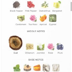 Amouroud Apricot Nectar - фото 2